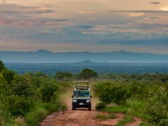 Self Drive Adventures in East Africa East Africa Parks