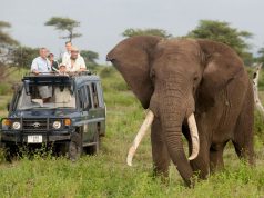 Self Drive Safaris in East Africa East Africa Safari Adventure