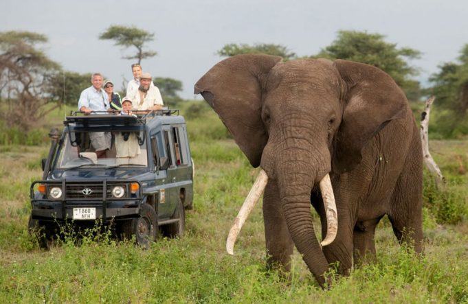east-africa-safari-adventure East Africa Safari Adventure
