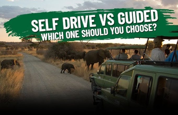 guided-vs-self-drive Guided vs Self Drive
